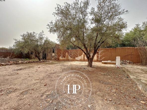 Vente-immobilière-Villa-avec-grand-terrain-Gros-potentiell-Marrakech-22