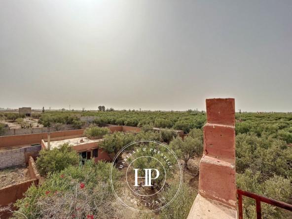 Vente-immobilière-Villa-avec-grand-terrain-Gros-potentiell-Marrakech-3