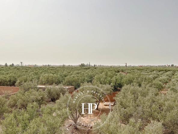 Vente-immobilière-Villa-avec-grand-terrain-Gros-potentiell-Marrakech-4