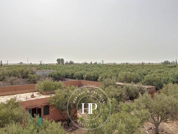 Vente-immobilière-Villa-avec-grand-terrain-Gros-potentiell-Marrakech-5